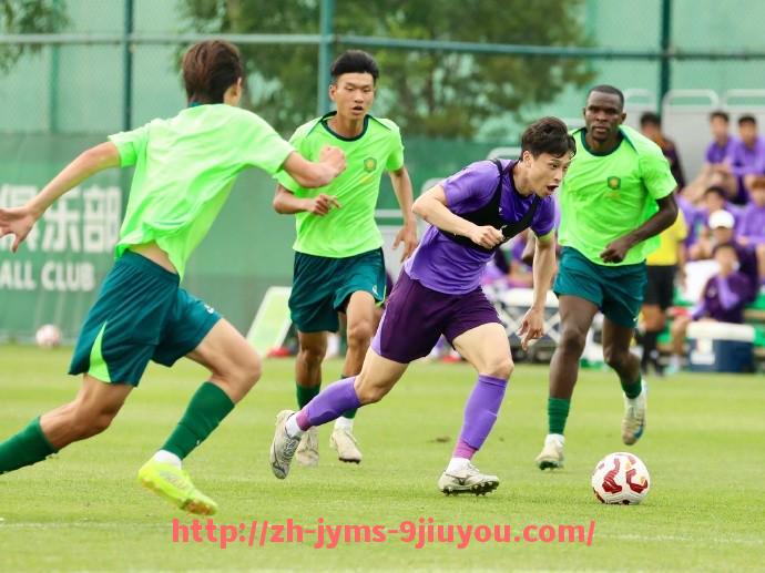 jiuyou九游娱乐-法甲外援市场潜力研究及其对球队未来发展的促进